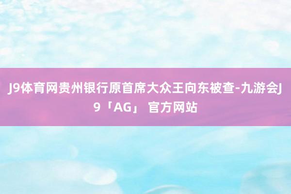 J9体育网贵州银行原首席大众王向东被查-九游会J9「AG」 官方网站