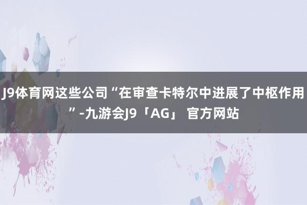 J9体育网这些公司“在审查卡特尔中进展了中枢作用”-九游会J9「AG」 官方网站